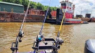 100 Pound Catfish LIVE HERE!!! (Fishing Tournament)