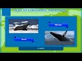 Antarctica Knowledge Assessment