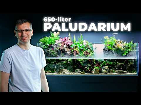 Our Most Ambitious Paludarium Build Yet