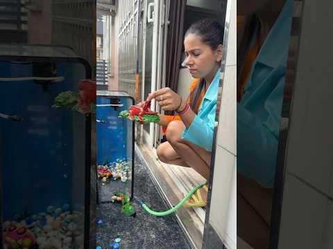 Magarmach K Paet Mai Mili Fishes 🐊🐟🐠 #fishes #aquarium #crocodile #minivlog #vlog