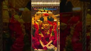 Rathotsavam....#murugan #temple #pooja #subramanyam #devotional #trending #2026 #celebration #song