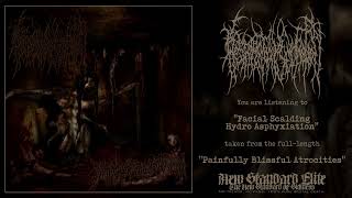 Respiratory Secretion - "Facial Scalding..." (Painfully Blissful Atrocities | NSE 2026)
