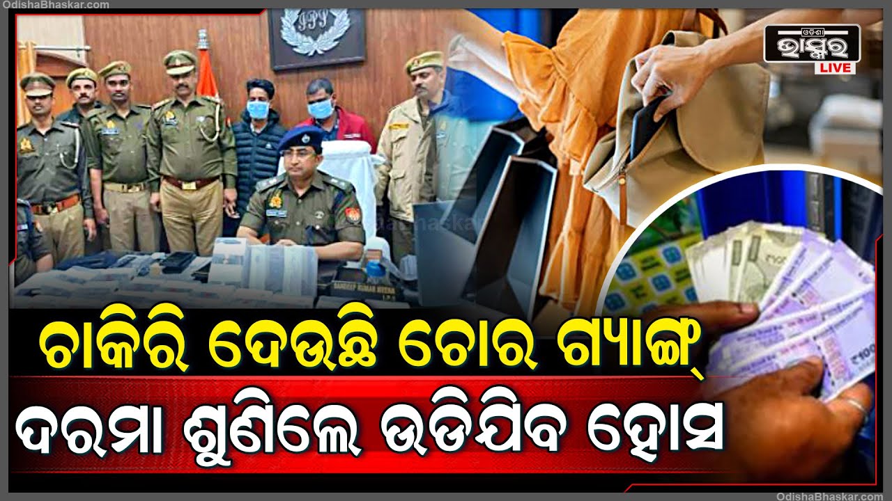 ଚାକିରି ଦେଉଛନ୍ତି ଚୋର ଗ୍ୟାଙ୍ଗ୍, ଦରମା ସହ ମାଗଣା ଖାଇବା ! ଏଭଳି ଗ୍ୟାଙ୍ଗ୍ ଦେଖି ପୋଲିସ ତାଟକା ।