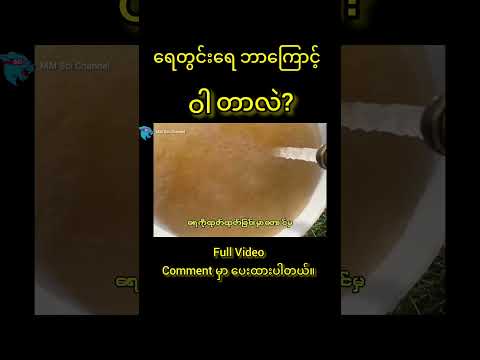 ရေတွင်းရေ ဝါတာဘာကြောင့်လဲ? #mmscichannel #ရေတွင်း