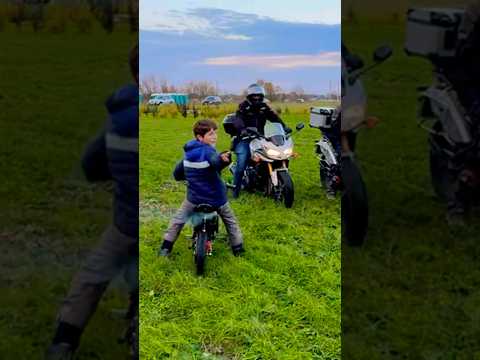 Дорога добра