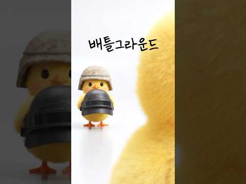 병아리의 안전한 아이템 전달법🐤 #<strong>치크</strong> #배틀그라운드