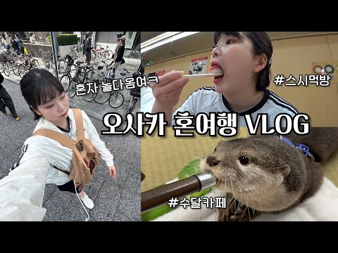 드디어 혼자 해외 여행을...! 오사카 혼여행 VLOG : 유니버셜 스튜디오, 수달카페 루트레, 야끼니꾸, 가챠샵 꿀잼ㅣ0zoo 영주
