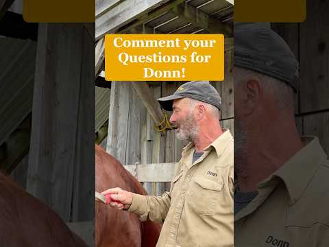 If you have questions for Donn, comment them here and stay tuned for the video where he answers.