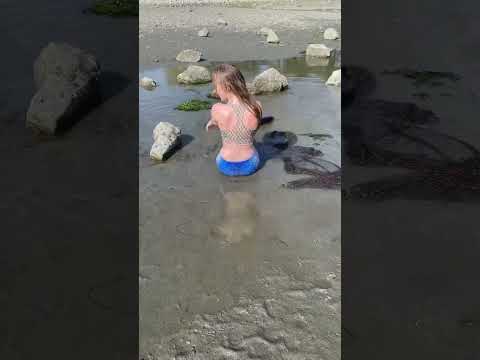 Happy mermaid escaped a fishing net! #realmermaid