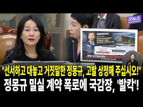 "선서하고 대놓고 거짓말한 <strong>정몽규</strong>, 고발 상정해 주십시오!" <strong>정몽규</strong> 밀실 계약 폭로에 국감장, '발칵'!