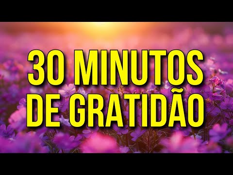 30 MINUTOS DE GRATIDÃO AO UNIVERSO