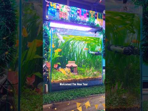 ๐New Year with ๐ฏMy fish! #shorts #ytshorts #aquarium #pets #animals #fish #newyear #pet