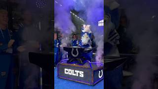 SO BACK @colts