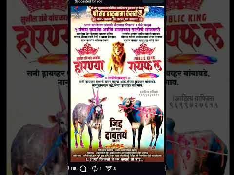 हारण्या आणि रायफल | फायनल व गुलालाचे मानकरी | #बकासुर #naadekachbailgadasharyat #bailgadasharyat#cow