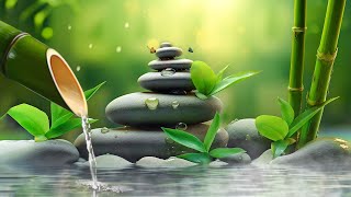 Relaxing Sleep Music ✨ Stress & Insomnia Relief | Deep Healing Sounds for Peaceful Night
