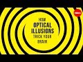 Exploring the Science Behind Optical Illusions