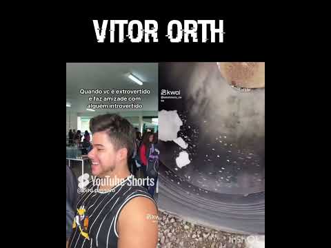 VITOR ORTH:: quando vc é extrovertida e faz amizade com uma introvertida #shorts