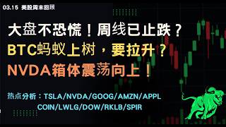 大盘周线要止跌？ BTC蚂蚁上树，要拉升？ Nvda箱体震荡向上！热点分析：Tsla/NVDA/Goog/Amzn/Appl/ Coin/Lwlg/Dow/Rklb/Spir#tesla#nvda 