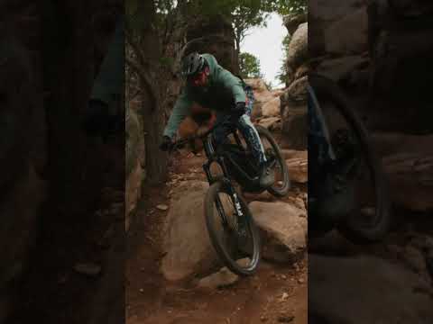 Want to erase the chatter and chunk? The Cannondale Mottera LT might just be the answer!