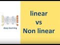 Linear and Nonlinear Models in Machine Learning