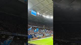 NIMM DEN SCHAL UND STIMM MIT EIN! 💙💪 #hsv #fußball #shorts