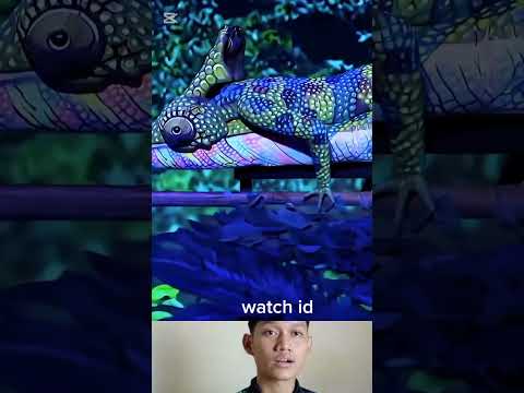 Pertunjukan kamuflase mirip bunglon asli #trending #shortsvideo