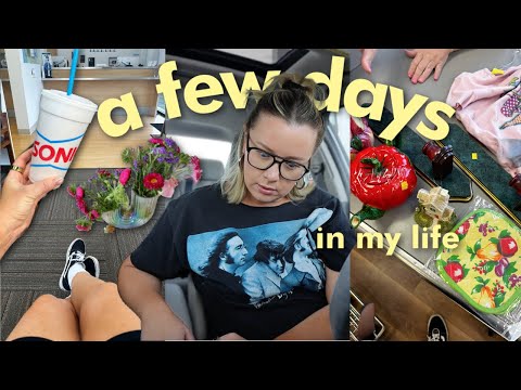 why did i do this to myself?, trader joe's, thrifting & family weekend!