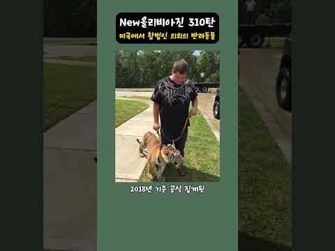 New올리비아진 310탄 - 미국에서 합법인 의외의 반려동물