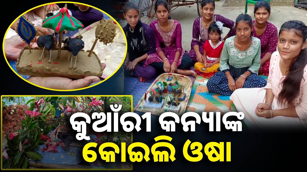 ମହାସମାରୋହରେ ପାଳିତ ହେଲା କୋଇଲି ଓଷା, କ'ଣ ଏହି ନିଆରା କୋଇଲି ଓଷା ଭିଡିଓ ଦେଖି ଜାଣନ୍ତୁ || Knews odisha