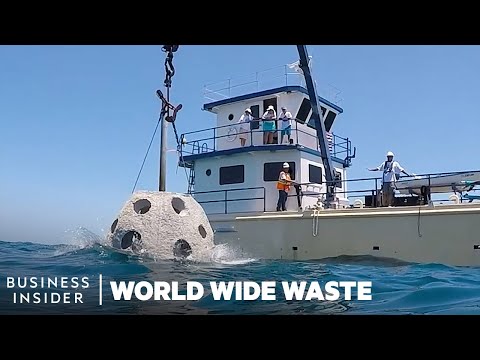 How Reefs Made With Human Remains Restore Florida’s Coastline | World Wide Waste