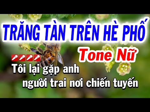 Trăng Tàn Trên Hè Phố Karaoke Tone Nữ Bolero (Fa Thứ) Karaoke Tuyết Nhi