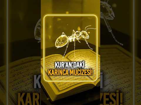 Kur’an’daki Karınca Mucizesi!