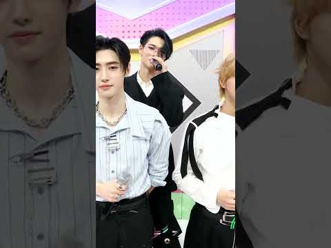 #shorts#엔하이픈 컴백인터뷰(ENHYPEN COMEBACK Interview) [뮤직뱅크/Music Bank] | KBS 방송