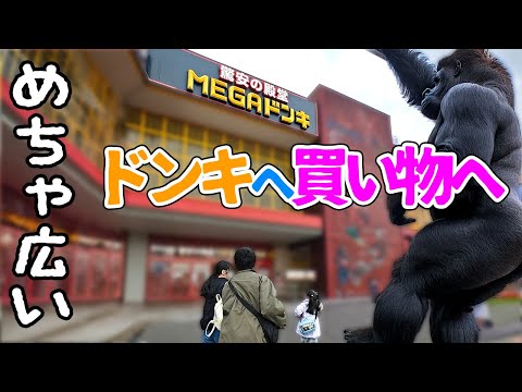 ドンキの大型店へドライブ⁉️🤔 10代女子のリアルな進路トーク＆購入品紹介🎤✨