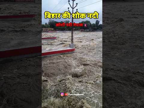 बिहार की शोक नदी // koshi barrage // koshi barrage nepal // koshi barrage news //