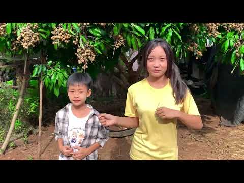 พี่น้องร้องเพลง ภูพิณ+เนเน่ ลาเเฟนไปรบ