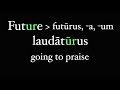 Exploring Future Active Participles in Latin