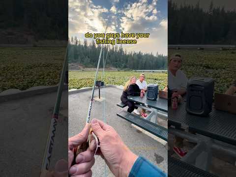 Fishing interaction at the lake 🎣🐟
