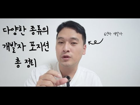 개발자의 다양한 직군들을 소개합니다 | 개발자 포지션 총정리