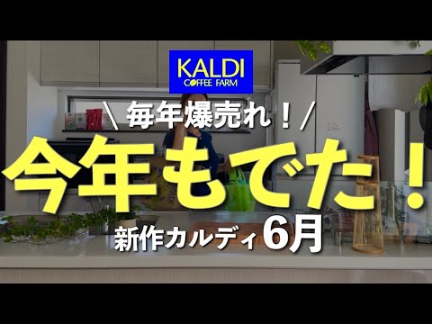 【速報カルディ】完売注意⚠️オンラインで翌日完売した人気商品GET✊目の前で売れていくテレビで紹介されたアイテムがおすすめ😆レモンバッグ|ハマってるアイテムなど激推しです‼️