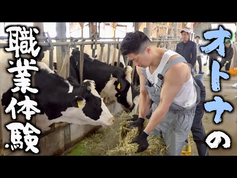 プロテインの産みの親に挨拶して搾乳して感謝してきた