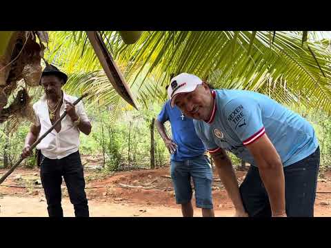 CHARLLES SALVA A FALSA JARARACA DAS GARRAS DE TIRINGA | CHÁCARA COMÉDIA SELVAGEM