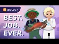 Biology and Biologists: Exploring Life and Its Processes