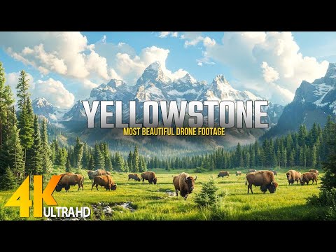 Yellowstone National Park Relaxation 4K • Land of Majestic Mountain Landscapes • Relaxation Film