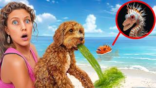 My Dog ATE Something TOXIC at the BEACH