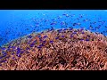 Ocean Science and Sustainability Concepts