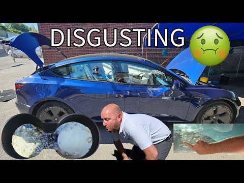 Cleaning the DIRTIEST TESLA I have ever seen! 🤮 and it HAD the white interior!