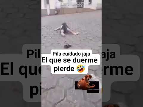El que se duerme pierdes 🤣🤣🤣