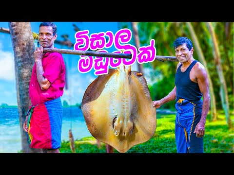 විසාල මඩුවෙක්ගෙන් මඩු මාළු කරියක් ගමටම - Cooking a Massive Stingray Curry for the Whole Village