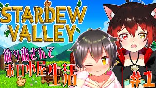 【stardew valley】放り出されてVtuber二人暮らし！！＃2【七転び八起き黒猫/しょーくん】